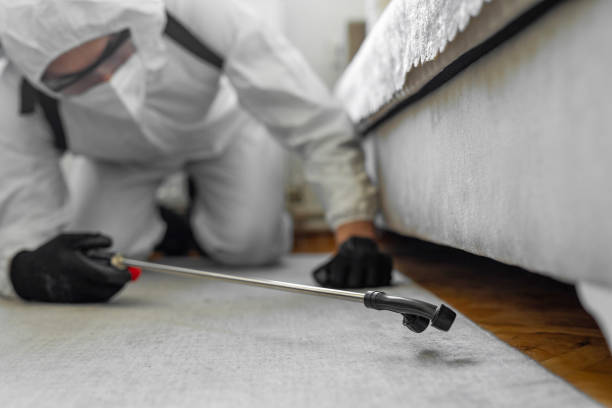 Professional Bed Bug Control technician working in Newell, WV