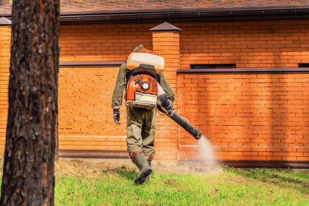 Top rated local Bed Bug Control specialists in Newell, WV